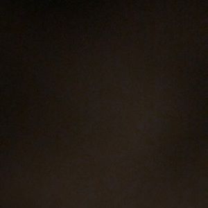 Meet your Posher, Regan